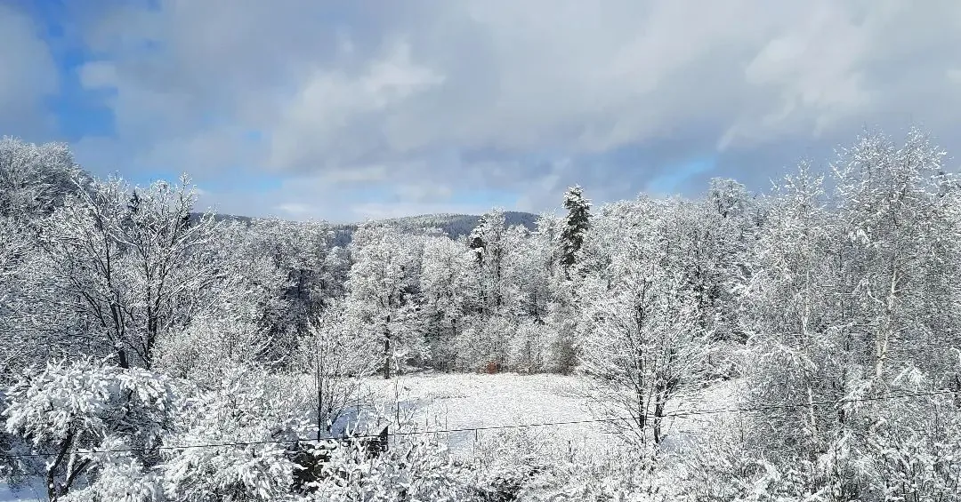 Zimowy widok w okolicy Lavendowo